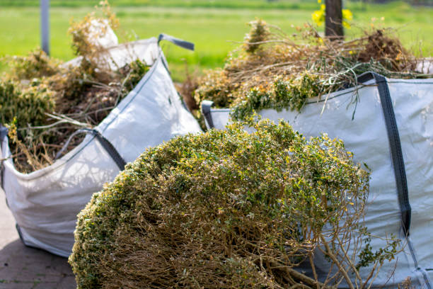 Trusted Staples, MN Junk Removal Experts