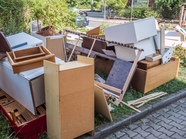 Best Yard Waste Removal  in Staples, MN
